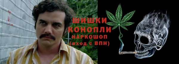 молекула духа Ступино