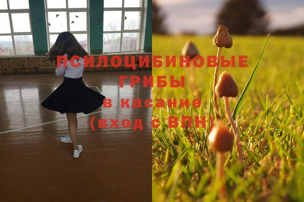 молекула духа Ступино