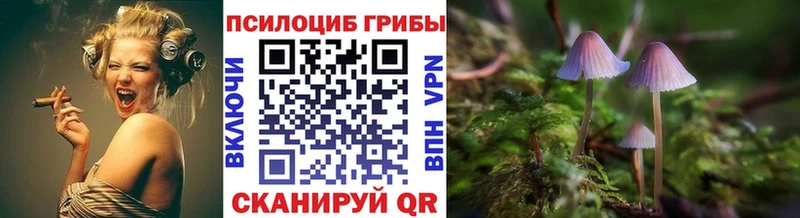 Галлюциногенные грибы прущие грибы  закладка  Тихорецк 